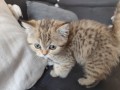 https://www.waibe.fr/sites/delphine59h/medias/images/__HIDDEN__galerie_32/IMG_20260714_170551.jpg
