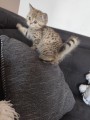https://www.waibe.fr/sites/delphine59h/medias/images/__HIDDEN__galerie_32/IMG_20260714_170617.jpg