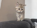 https://www.waibe.fr/sites/delphine59h/medias/images/__HIDDEN__galerie_32/IMG_20260714_170624.jpg