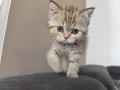 https://www.waibe.fr/sites/delphine59h/medias/images/__HIDDEN__galerie_32/IMG_20260714_170626.jpg