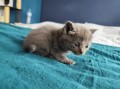 https://www.waibe.fr/sites/delphine59h/medias/images/__HIDDEN__galerie_4/IMG_20250423_145708.jpg