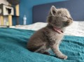 https://www.waibe.fr/sites/delphine59h/medias/images/__HIDDEN__galerie_4/IMG_20250423_145717.jpg