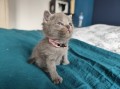 https://www.waibe.fr/sites/delphine59h/medias/images/__HIDDEN__galerie_4/IMG_20250423_145719.jpg