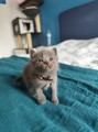 https://www.waibe.fr/sites/delphine59h/medias/images/__HIDDEN__galerie_4/IMG_20250423_145727.jpg