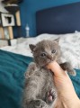 https://www.waibe.fr/sites/delphine59h/medias/images/__HIDDEN__galerie_4/IMG_20250423_145733.jpg