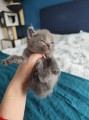 https://www.waibe.fr/sites/delphine59h/medias/images/__HIDDEN__galerie_4/IMG_20250423_145750.jpg