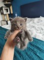 https://www.waibe.fr/sites/delphine59h/medias/images/__HIDDEN__galerie_4/IMG_20250423_145753.jpg