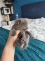 https://www.waibe.fr/sites/delphine59h/medias/images/__HIDDEN__galerie_4/IMG_20250423_145754.jpg