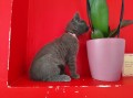 https://www.waibe.fr/sites/delphine59h/medias/images/__HIDDEN__galerie_4/IMG_20250609_163626.jpg