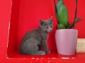 https://www.waibe.fr/sites/delphine59h/medias/images/__HIDDEN__galerie_4/IMG_20250609_163629.jpg