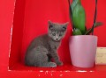https://www.waibe.fr/sites/delphine59h/medias/images/__HIDDEN__galerie_4/IMG_20250609_163630.jpg