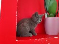 https://www.waibe.fr/sites/delphine59h/medias/images/__HIDDEN__galerie_4/IMG_20250609_163648.jpg
