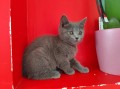 https://www.waibe.fr/sites/delphine59h/medias/images/__HIDDEN__galerie_4/IMG_20250609_163657.jpg