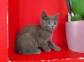 https://www.waibe.fr/sites/delphine59h/medias/images/__HIDDEN__galerie_4/IMG_20250609_163658.jpg