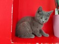 https://www.waibe.fr/sites/delphine59h/medias/images/__HIDDEN__galerie_4/IMG_20250609_163704.jpg