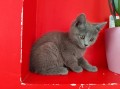 https://www.waibe.fr/sites/delphine59h/medias/images/__HIDDEN__galerie_4/IMG_20250609_163708.jpg