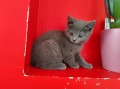 https://www.waibe.fr/sites/delphine59h/medias/images/__HIDDEN__galerie_4/IMG_20250609_163713.jpg
