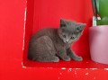 https://www.waibe.fr/sites/delphine59h/medias/images/__HIDDEN__galerie_4/IMG_20250609_163715.jpg
