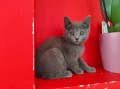 https://www.waibe.fr/sites/delphine59h/medias/images/__HIDDEN__galerie_4/IMG_20250609_163724.jpg