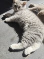 https://www.waibe.fr/sites/delphine59h/medias/images/__HIDDEN__galerie_4/IMG_20260424_155858.jpg