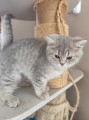 https://www.waibe.fr/sites/delphine59h/medias/images/__HIDDEN__galerie_4/IMG_20260424_155931.jpg