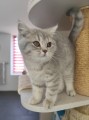 https://www.waibe.fr/sites/delphine59h/medias/images/__HIDDEN__galerie_4/IMG_20260424_155944.jpg
