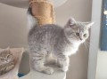 https://www.waibe.fr/sites/delphine59h/medias/images/__HIDDEN__galerie_4/IMG_20260424_160013.jpg