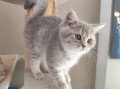 https://www.waibe.fr/sites/delphine59h/medias/images/__HIDDEN__galerie_4/IMG_20260424_160017.jpg