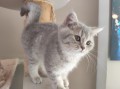 https://www.waibe.fr/sites/delphine59h/medias/images/__HIDDEN__galerie_4/IMG_20260424_160020.jpg