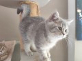 https://www.waibe.fr/sites/delphine59h/medias/images/__HIDDEN__galerie_4/IMG_20260424_160022.jpg