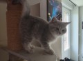 https://www.waibe.fr/sites/delphine59h/medias/images/__HIDDEN__galerie_4/IMG_20260424_160027.jpg