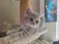 https://www.waibe.fr/sites/delphine59h/medias/images/__HIDDEN__galerie_4/IMG_20260424_160038.jpg