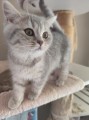 https://www.waibe.fr/sites/delphine59h/medias/images/__HIDDEN__galerie_4/IMG_20260424_160103.jpg