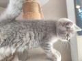https://www.waibe.fr/sites/delphine59h/medias/images/__HIDDEN__galerie_4/IMG_20260424_160113.jpg