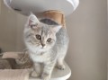 https://www.waibe.fr/sites/delphine59h/medias/images/__HIDDEN__galerie_4/IMG_20260424_160119.jpg