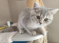 https://www.waibe.fr/sites/delphine59h/medias/images/__HIDDEN__galerie_4/IMG_20260424_160124.jpg