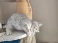 https://www.waibe.fr/sites/delphine59h/medias/images/__HIDDEN__galerie_4/IMG_20260424_160125.jpg
