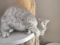 https://www.waibe.fr/sites/delphine59h/medias/images/__HIDDEN__galerie_4/IMG_20260424_160127.jpg