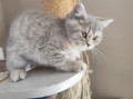 https://www.waibe.fr/sites/delphine59h/medias/images/__HIDDEN__galerie_4/IMG_20260424_160128.jpg