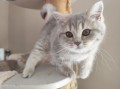 https://www.waibe.fr/sites/delphine59h/medias/images/__HIDDEN__galerie_4/IMG_20260424_160130.jpg