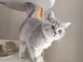 https://www.waibe.fr/sites/delphine59h/medias/images/__HIDDEN__galerie_4/IMG_20260424_160133.jpg