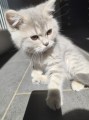 https://www.waibe.fr/sites/delphine59h/medias/images/__HIDDEN__galerie_4/IMG_20260424_160438.jpg