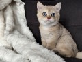 https://www.waibe.fr/sites/delphine59h/medias/images/__HIDDEN__galerie_4/IMG_20260908_143342.jpg