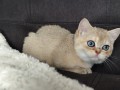 https://www.waibe.fr/sites/delphine59h/medias/images/__HIDDEN__galerie_4/IMG_20260908_143402.jpg