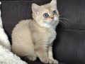 https://www.waibe.fr/sites/delphine59h/medias/images/__HIDDEN__galerie_4/IMG_20260908_143411.jpg