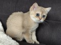 https://www.waibe.fr/sites/delphine59h/medias/images/__HIDDEN__galerie_4/IMG_20260908_143418.jpg