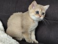 https://www.waibe.fr/sites/delphine59h/medias/images/__HIDDEN__galerie_4/IMG_20260908_143421.jpg