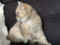https://www.waibe.fr/sites/delphine59h/medias/images/__HIDDEN__galerie_4/IMG_20260908_143444.jpg