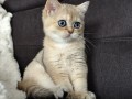 https://www.waibe.fr/sites/delphine59h/medias/images/__HIDDEN__galerie_4/IMG_20260908_143447.jpg