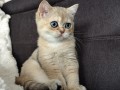 https://www.waibe.fr/sites/delphine59h/medias/images/__HIDDEN__galerie_4/IMG_20260908_143450.jpg
